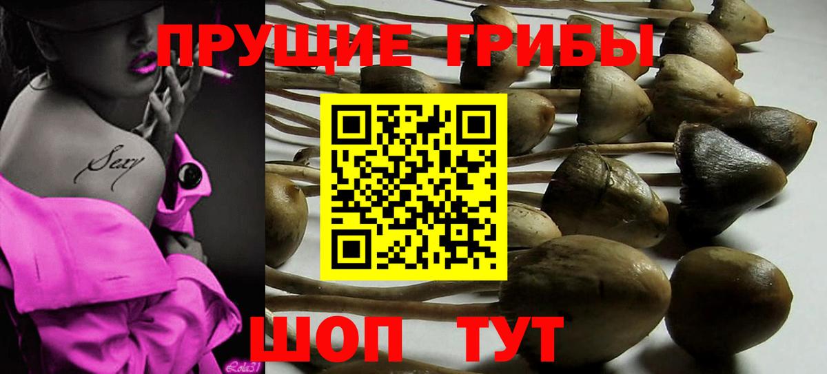 Галлюциногенные грибы MAGIC MUSHROOMS Дмитров