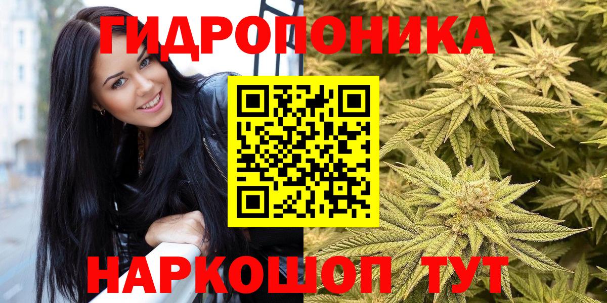 Каннабис ГИДРОПОН  Каннабис Ganja  Вход с VPN  Дмитров  Конопля конопля 